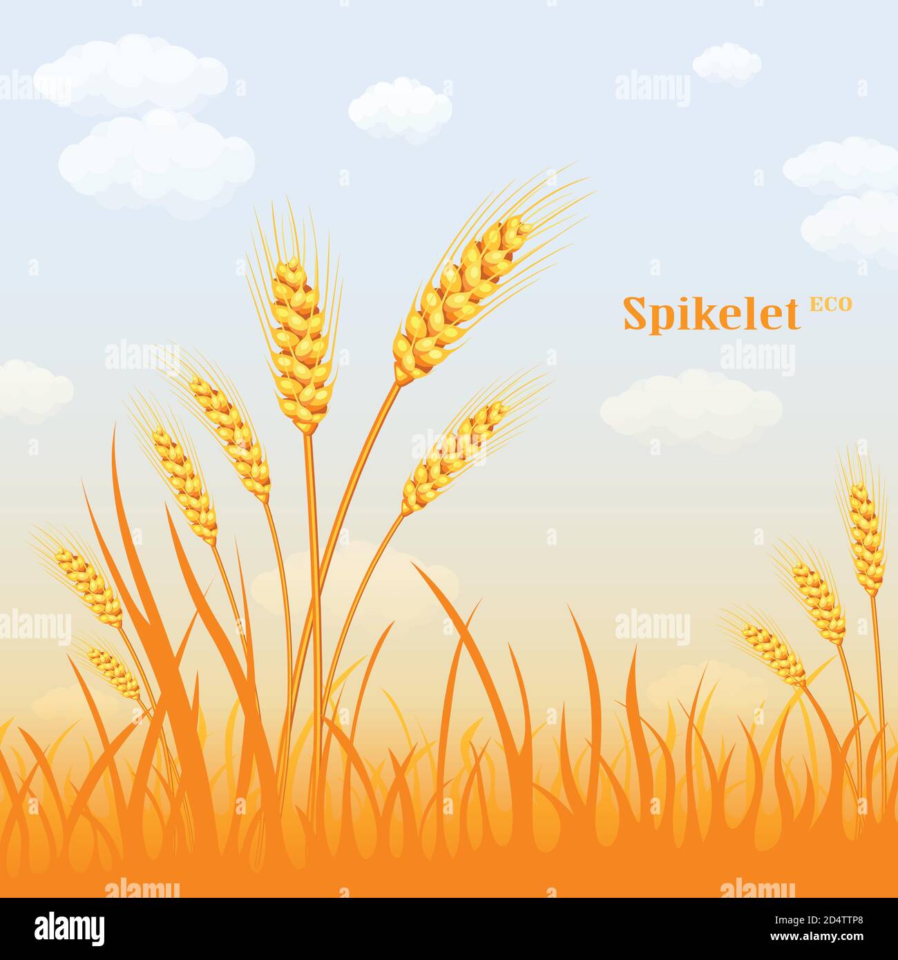 Grano vettoriale in un campo di fondo. Illustrazione vettoriale colorata Illustrazione Vettoriale