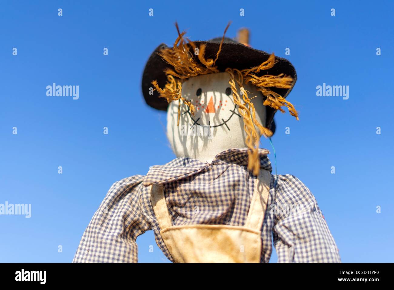 Bogeyman sorridente in un giardino o in un campo contro un cielo blu. Giorno estivo luminoso e soleggiato. Profondità di campo poco profonda. Foto Stock
