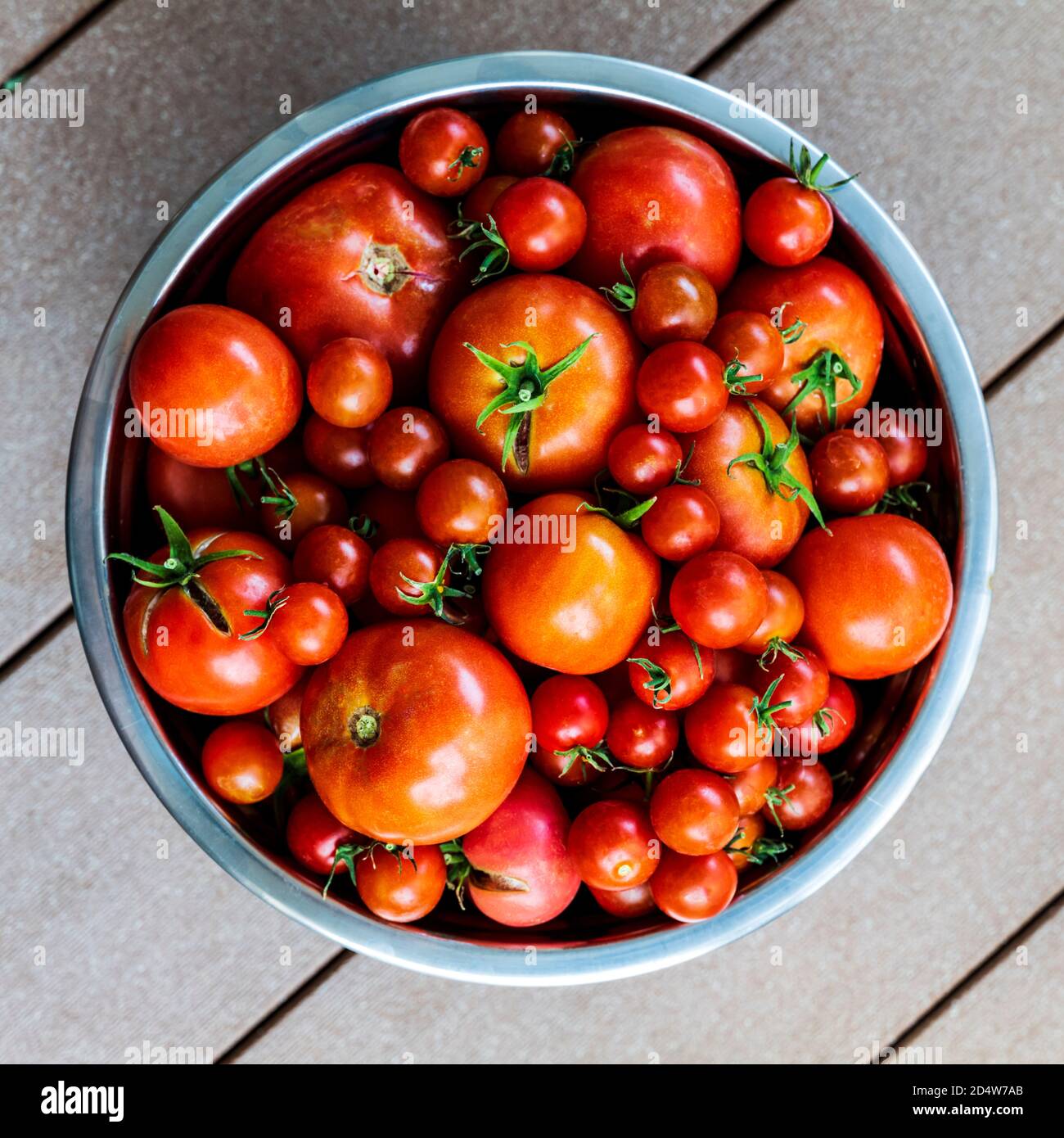 Pomodori da giardino e peperoni appena raccolti; Salida; Colorado; USA Foto Stock