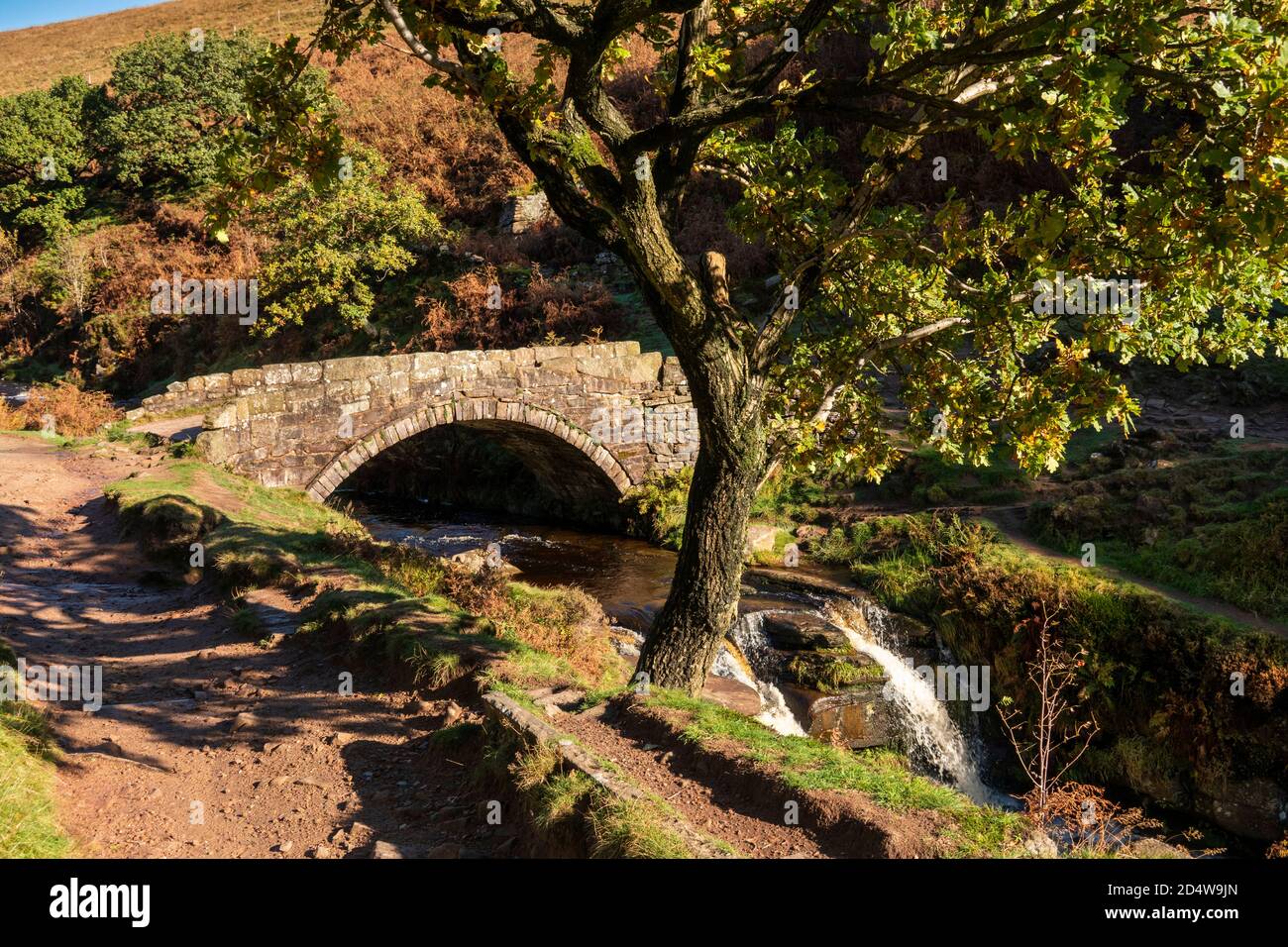 Regno Unito, Inghilterra, Staffordshire, Moorlands, Ax Edge Moor, Three Shires Head vecchio ponte in pietra a cavallo sul fiume Dane Foto Stock