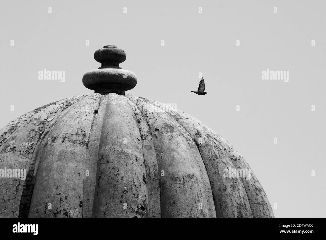 Parco archeologico di Champaner-Pavagadh, SITO PATRIMONIO DELL'umanità dell'UNESCO, Gujarat, India. Foto Stock