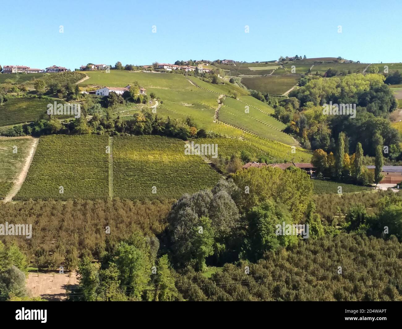 Vista sugli splendidi vigneti delle Langhe coltivati a Nebbiolo dal piccolo borgo di Castiglione Falletto in provincia di Cuneo. Foto Stock