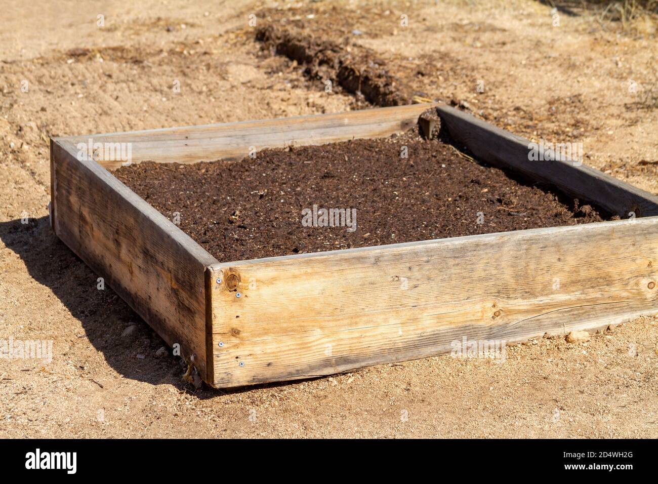 Un letto giardino in legno rialzato su un terreno sabbioso in un giardino del deserto del Mojave. Foto Stock