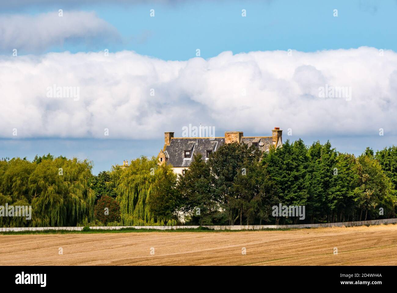 Ballentrieff House circondata da alberi e campi maturi in una giornata di sole, East Lothian, Scozia, Regno Unito Foto Stock
