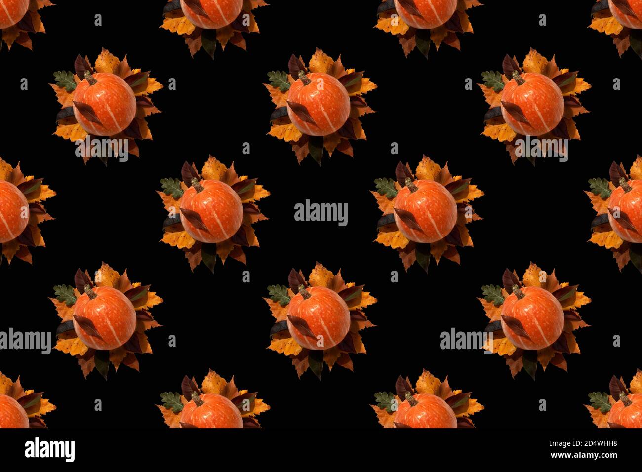 Motivo senza cuciture su sfondo nero. Tema autunno. I frutti di zucca arancione giacciono sulle foglie d'autunno. Da utilizzare per l'imballaggio, lo sfondo, lo sfondo. Alta risoluzione Foto Stock