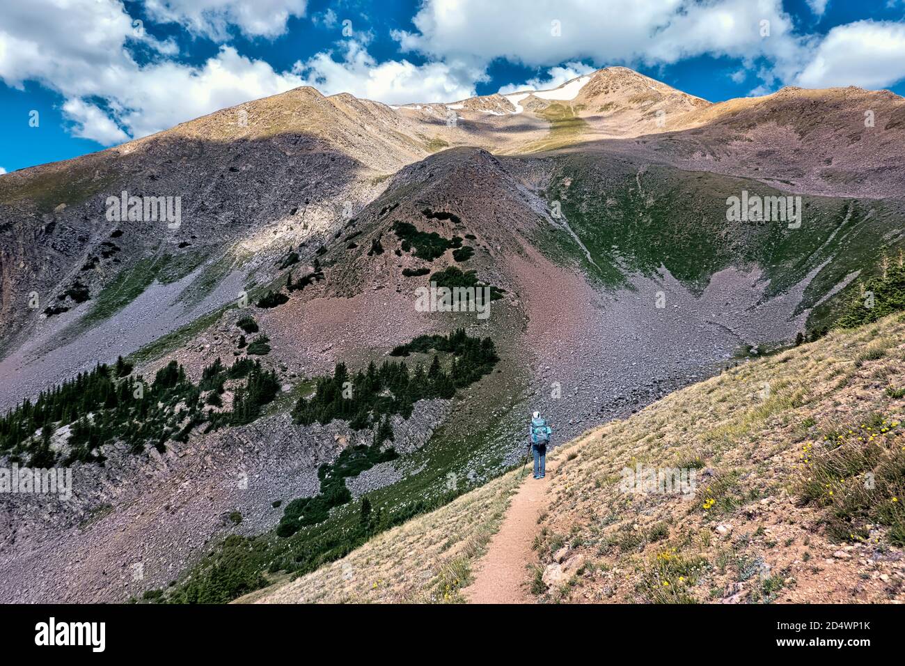 Ci si avvicina a Hope Pass, Collegiate West sul 485 Mile Colorado Trail, Colorado Foto Stock