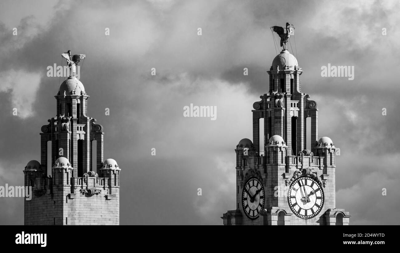 Gli uccelli del fegato sulla cima del Royal Liver Building che tiene sotto controllo Liverpool e il fiume Mersey visto dal Wirral. Foto Stock