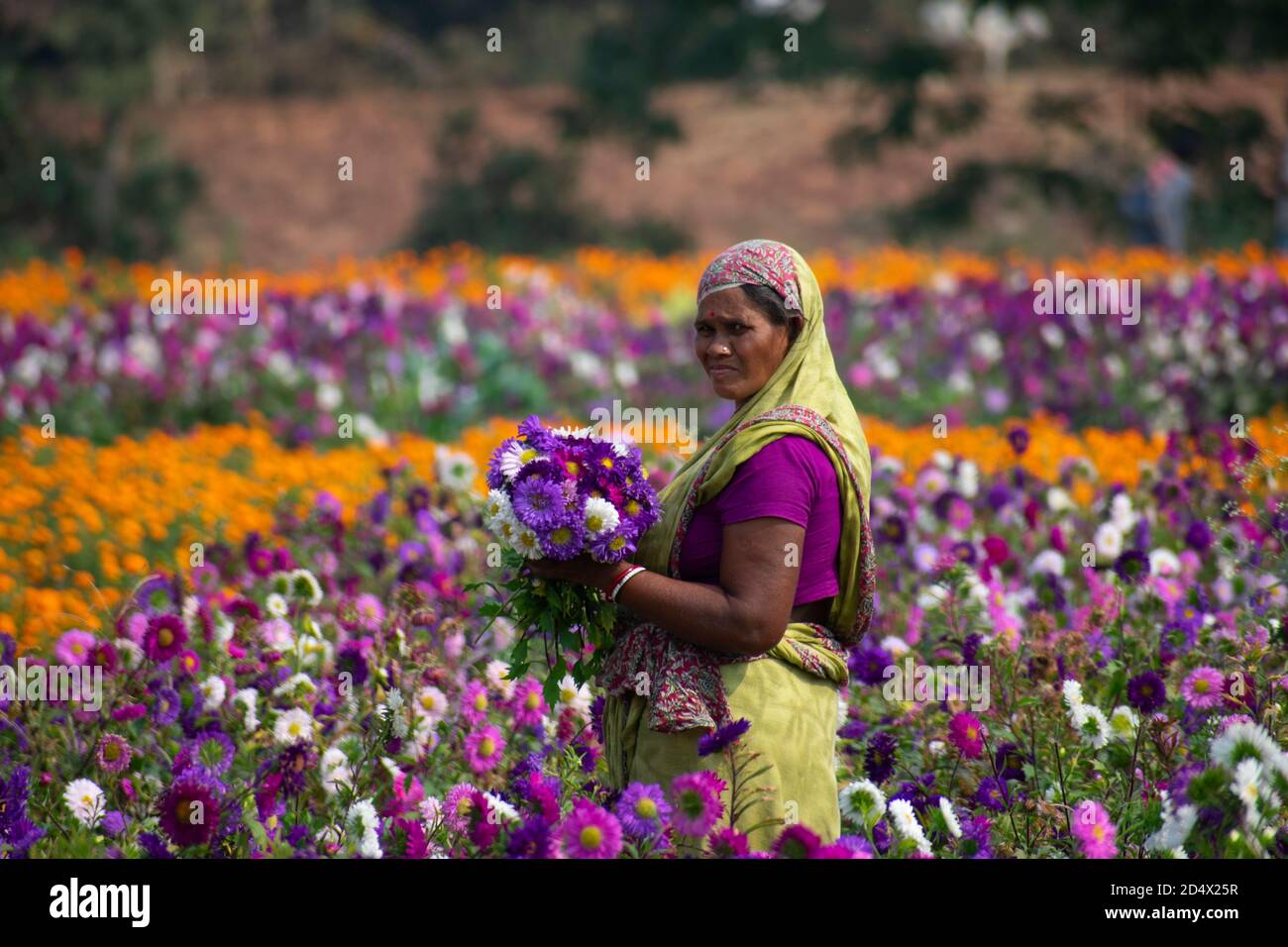 Khirai Midnapore, Bengala Occidentale, India - 11 Ottobre 2020 : una donna contadina che lavora nel campo dei fiori Foto Stock