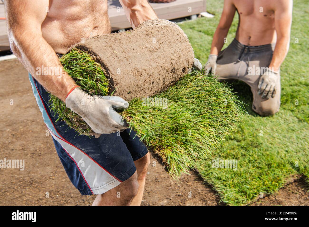 Due lavoratori caucasici nei loro 40 Installazione di erba Turfs natura In giardino residenziale Foto Stock