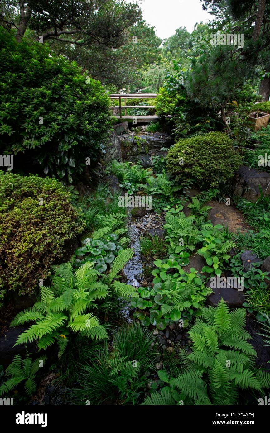 Giardino paesaggio con ruscelli e ponti Foto Stock