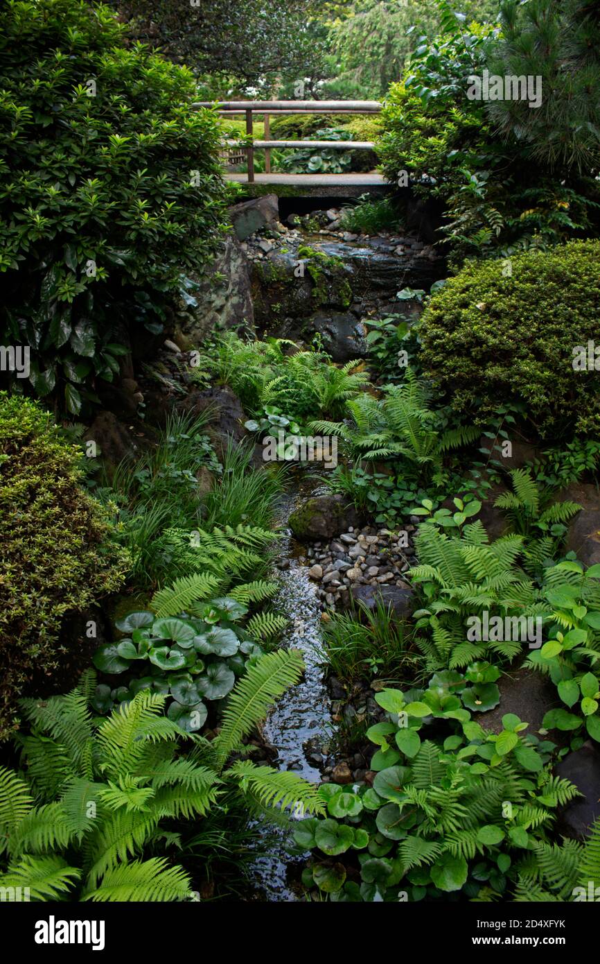 Giardino paesaggio con ruscelli e ponti Foto Stock