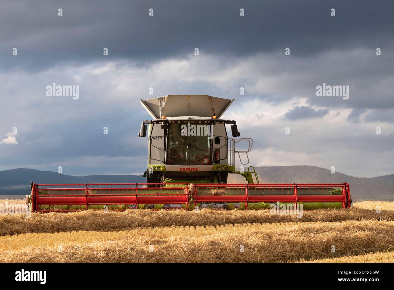 Vista frontale di una mietitrebbia Claas Lexion 770 Al lavoro in un campo di Barley sotto una Leaden Cielo Foto Stock