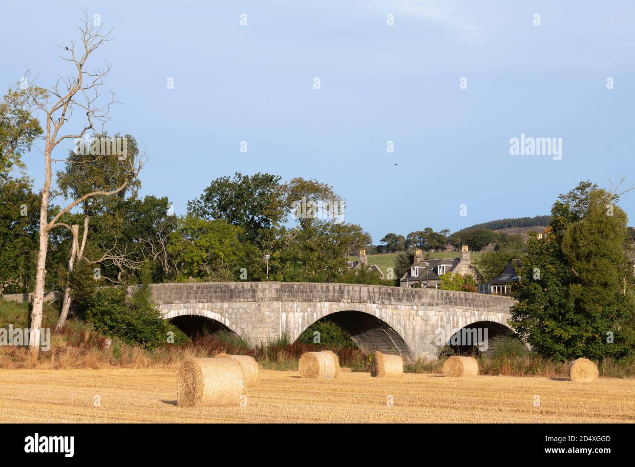 Il Road Bridge sul fiume Don al Bridge of Alford, Aberdeenshire, in una Sunny Autumn Morning Foto Stock