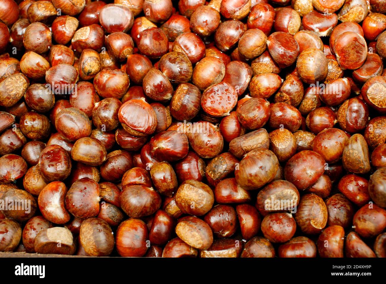 Malaysia Foto Stock