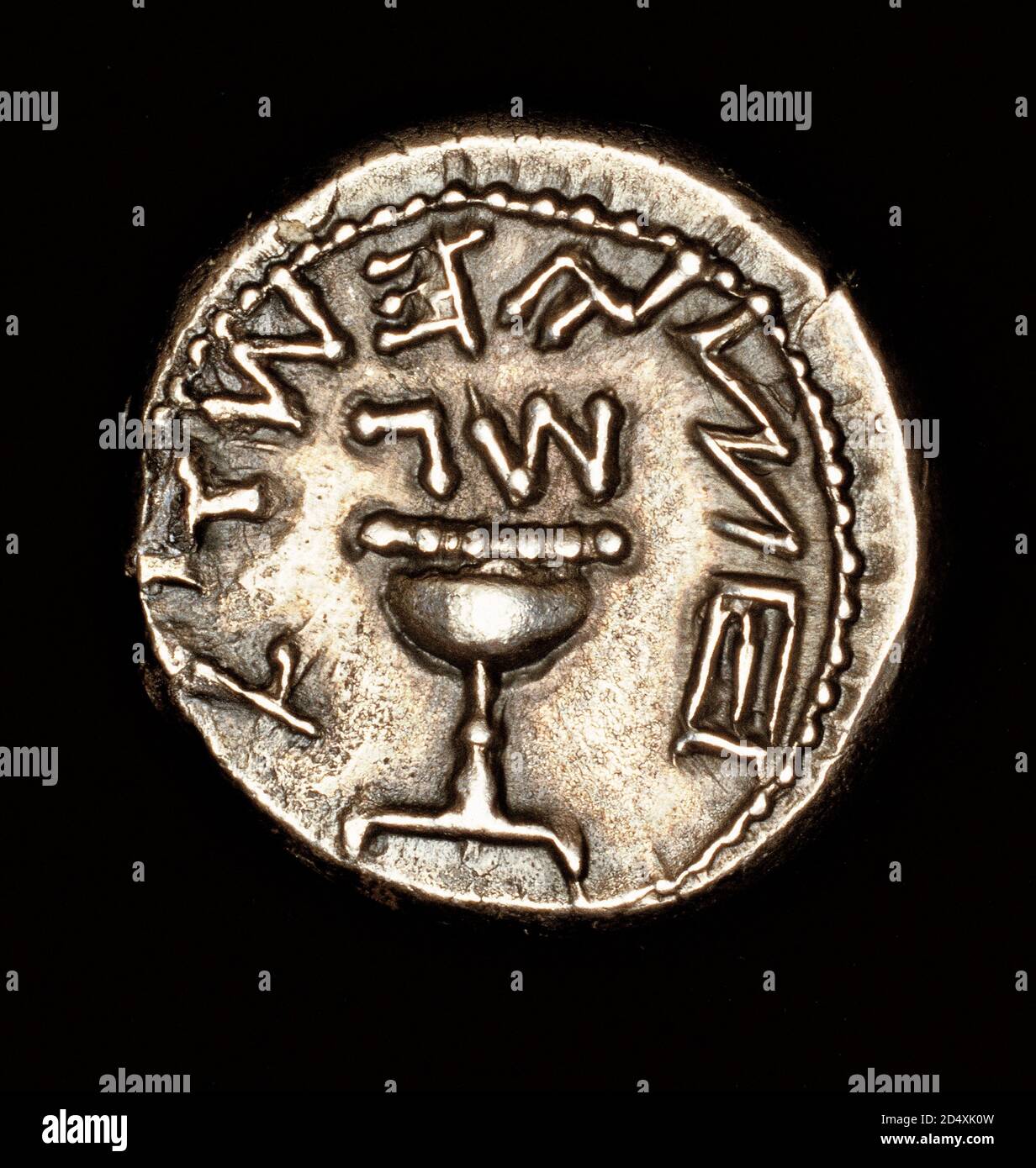 Antica metà d'Argento Shekel Coin, Antica Palastina, la guerra ebraica contro Roma 66 d.C. Foto Stock