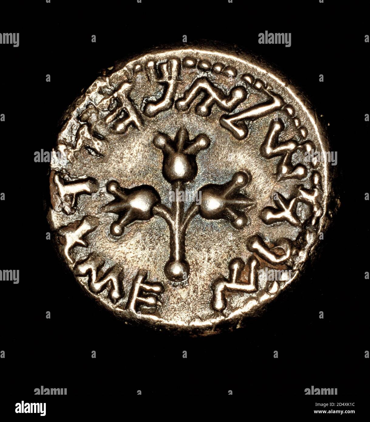 Antica moneta di Shekel metà d'Argento, antico Palastino, Pomogranato a tre strati - uno dei sette frutti celebrati del Tempio di Gerusalemme, 66 d.C. Foto Stock