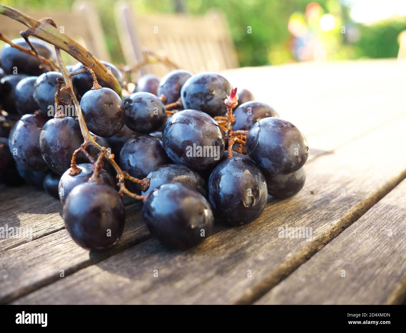 Primo piano di uve su un tavolo di legno all'aperto in una giornata di sole. Foto Stock
