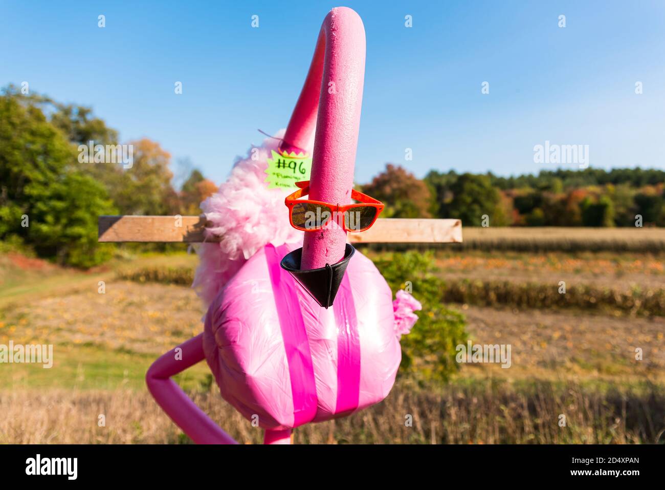 Cuscurbit Farm, Acton, Massachusetts. Concorso Scarecrow 2020. Foto Stock