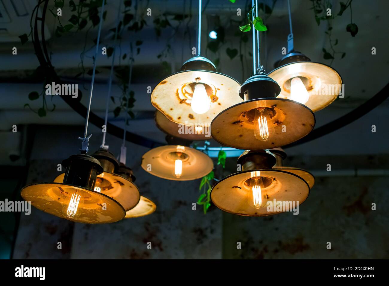 luci a soffitto con foglie di pianta ricci sospese sul soffitto Di lampada retrò Edison con riflettori rotondi arrugginiti dal vecchio età all'interno della notte res Foto Stock