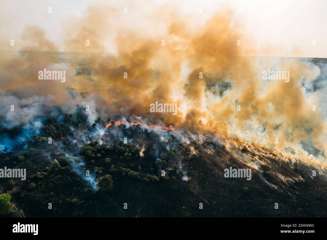 Vista aerea del fuoco della foresta, fuoco selvatico dopo la stagione estiva asciutta, natura ardente. Foto Stock