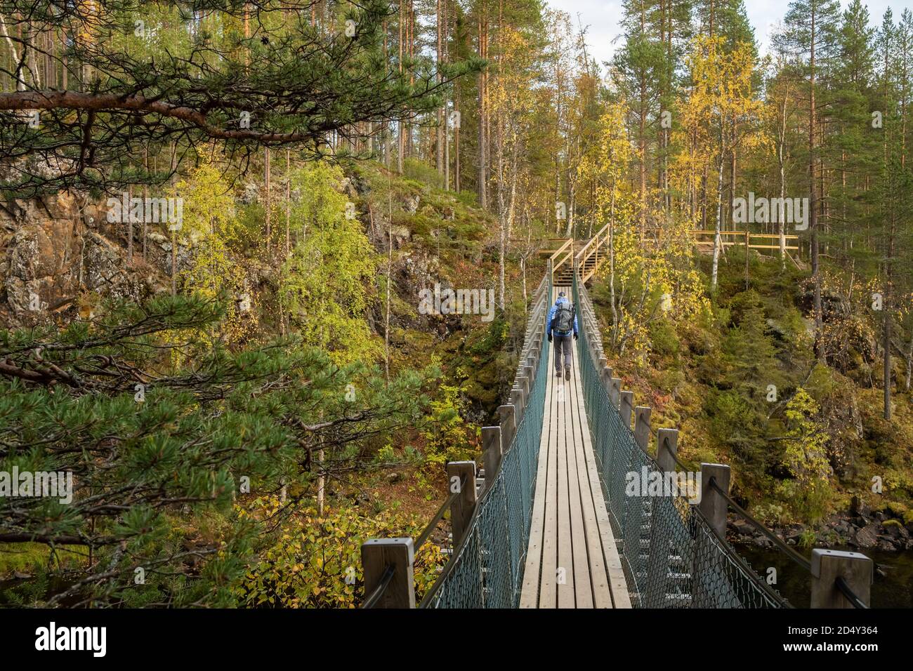 L'uomo cammina sul ponte sospeso nel Parco Nazionale di Oulanka In autunno in Finlandia Foto Stock