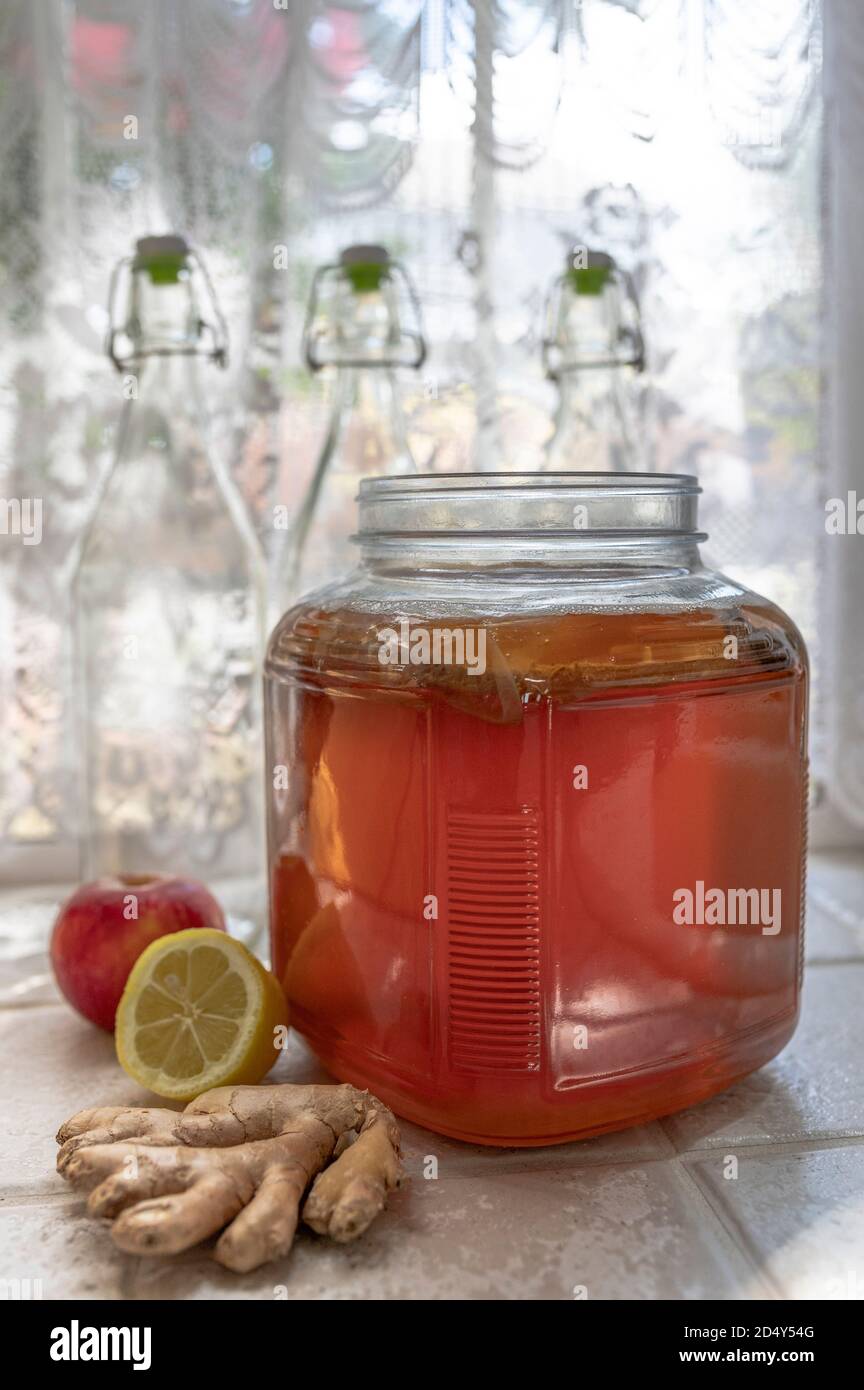 kombucha fatto in casa Foto Stock