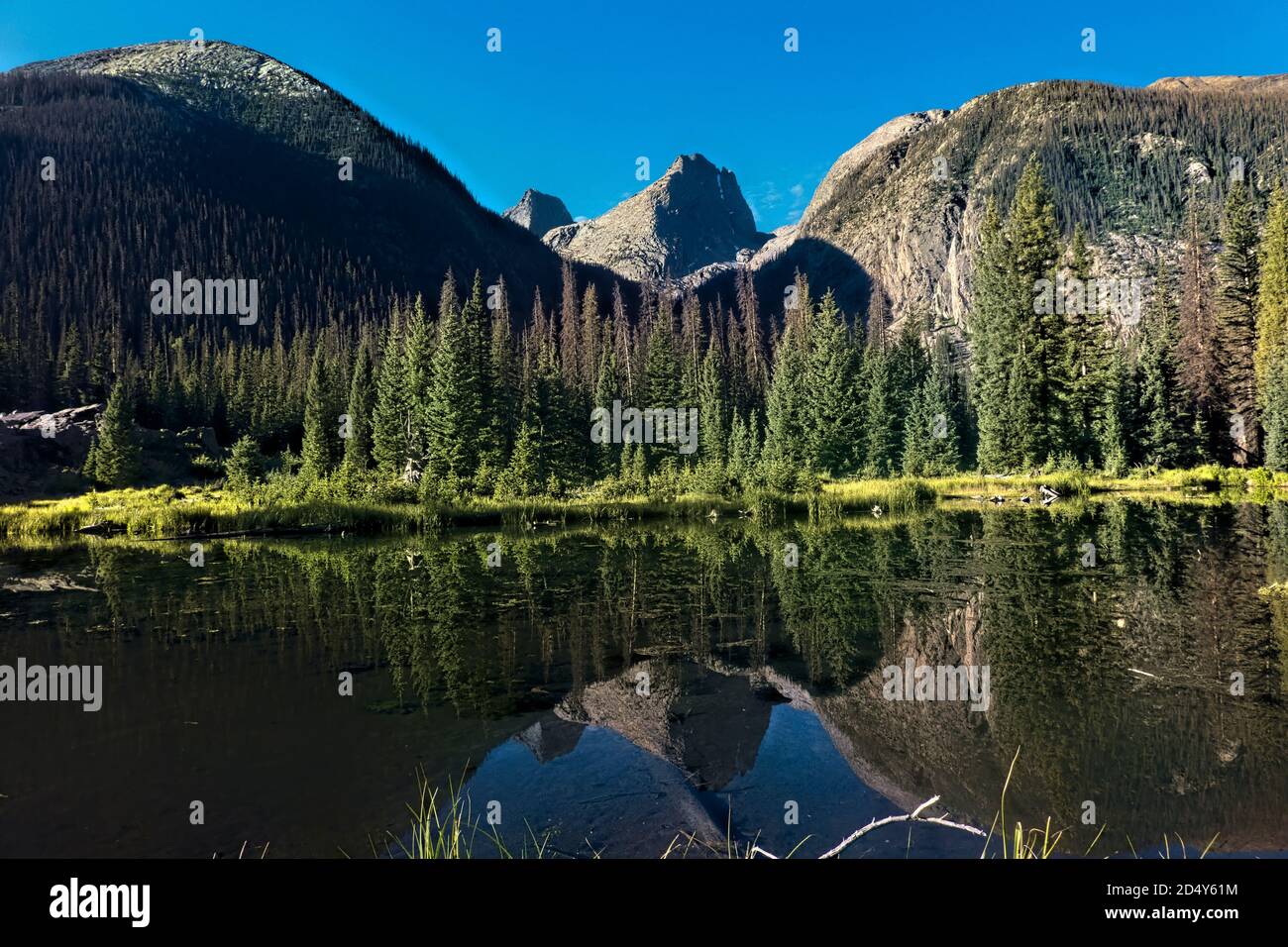 Vestal e Arrow Peak Reflection, Colorado Trail, Silverton, Colorado Foto Stock