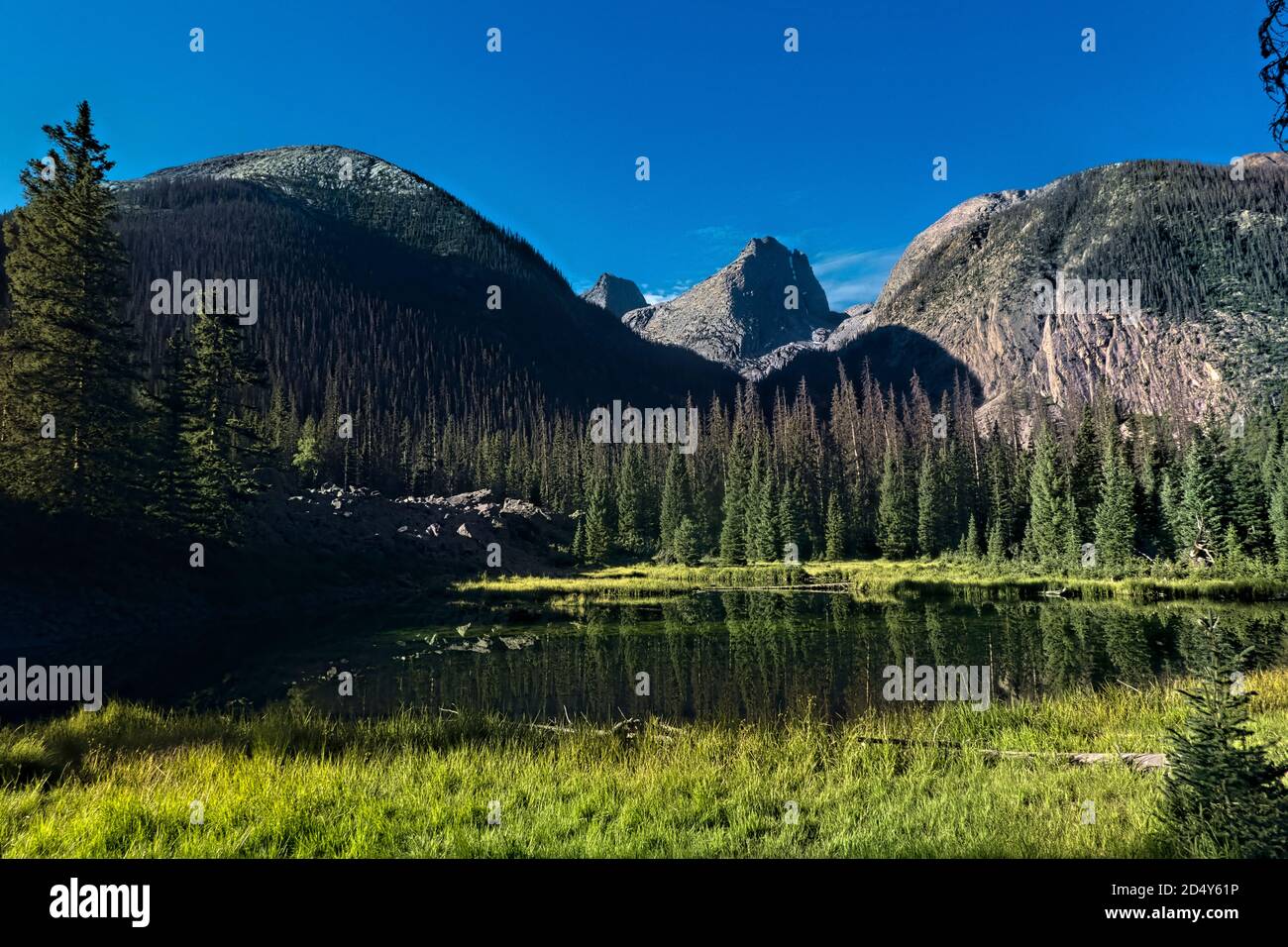 Vestal e Arrow Peak Reflection, Colorado Trail, Silverton, Colorado Foto Stock
