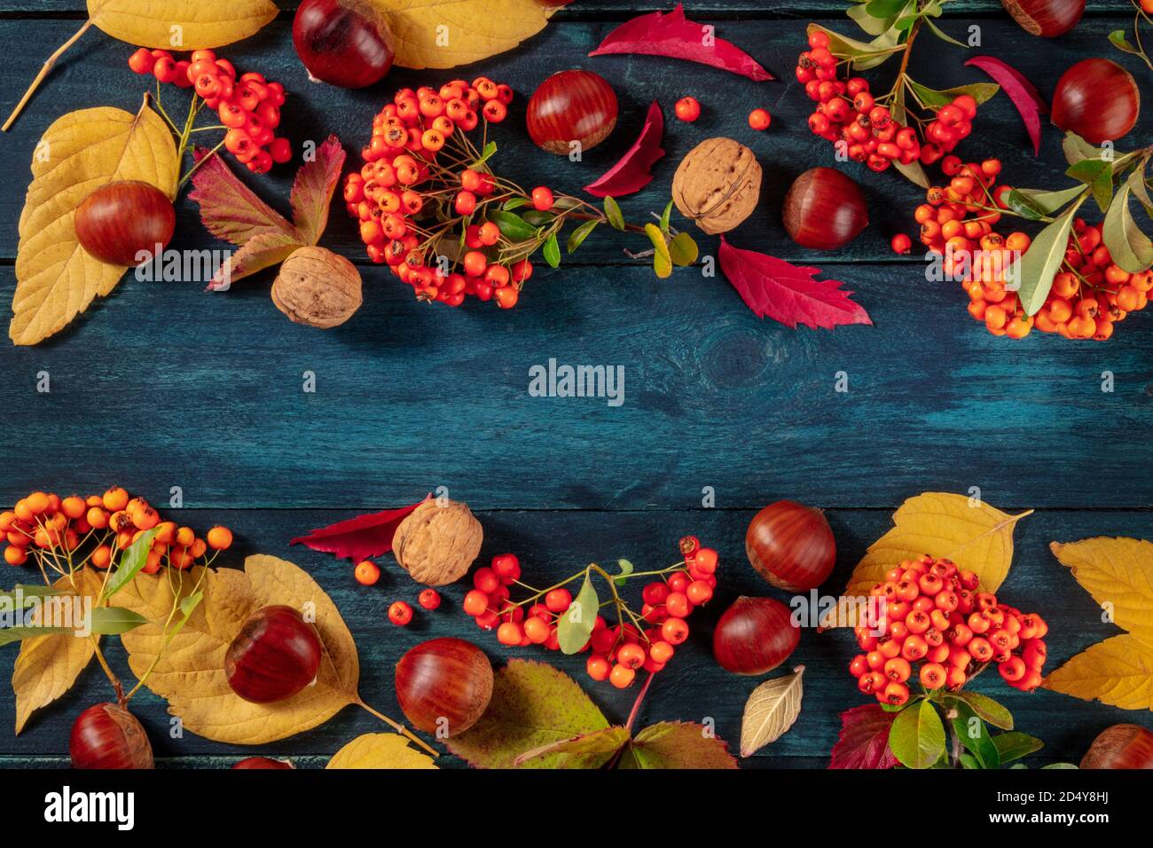Sfondo autunnale con foglie e castagne autunnali, un'immagine a sovrapposizione piatta con un posto per il testo su sfondo blu Foto Stock