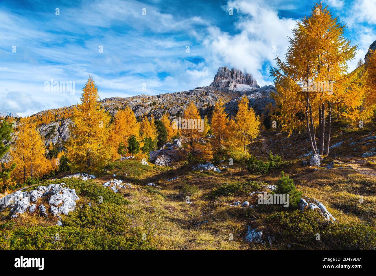 Ammirevole paesaggio alpino autunnale con colorate sequoie e montagne rocciose sullo sfondo, Dolomiti, Italia, Europa Foto Stock