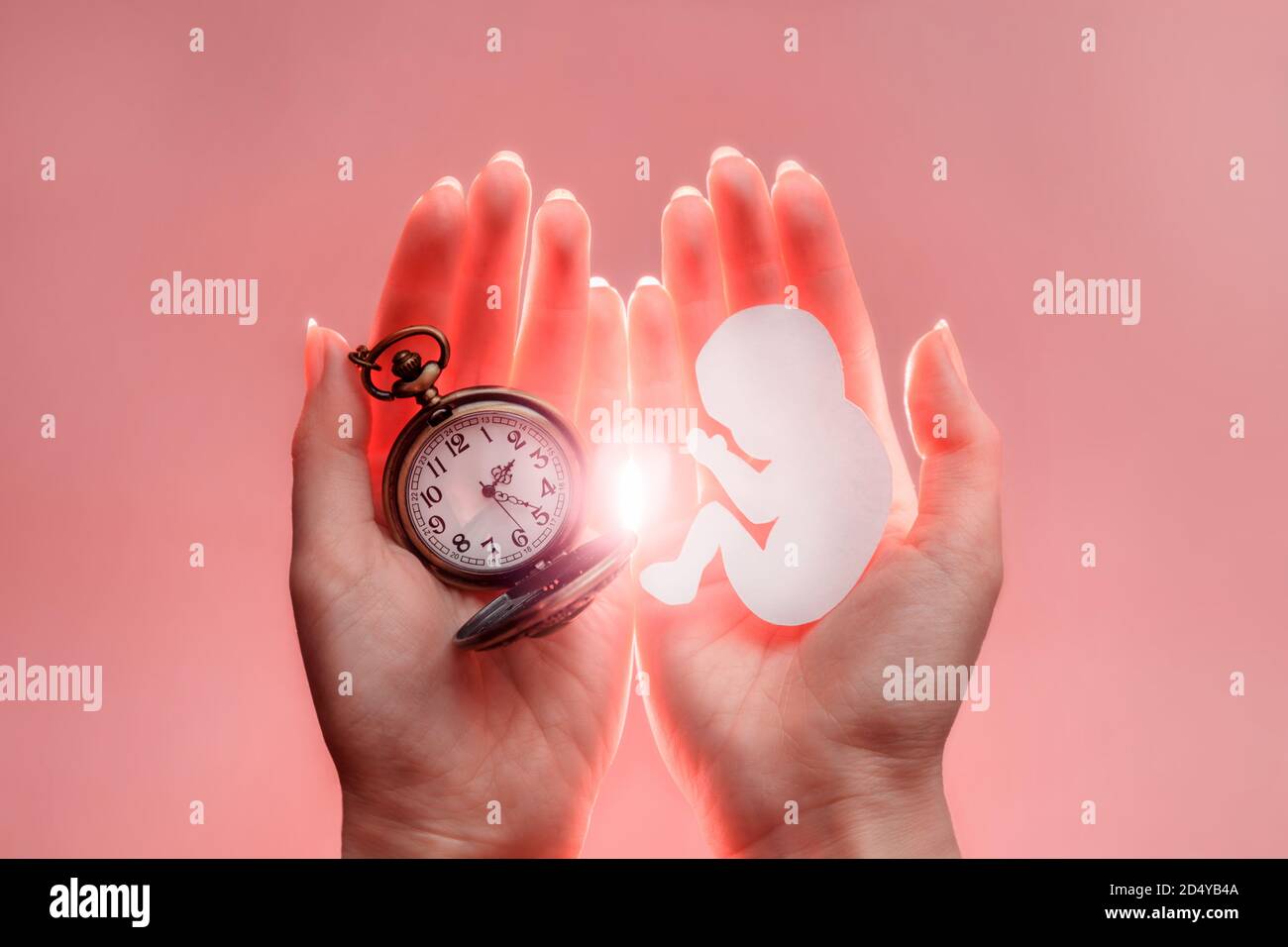 Profilo embrionale di carta e orologio in mani di donna con luce. Sfondo rosa. Messa a fuoco morbida. Foto Stock