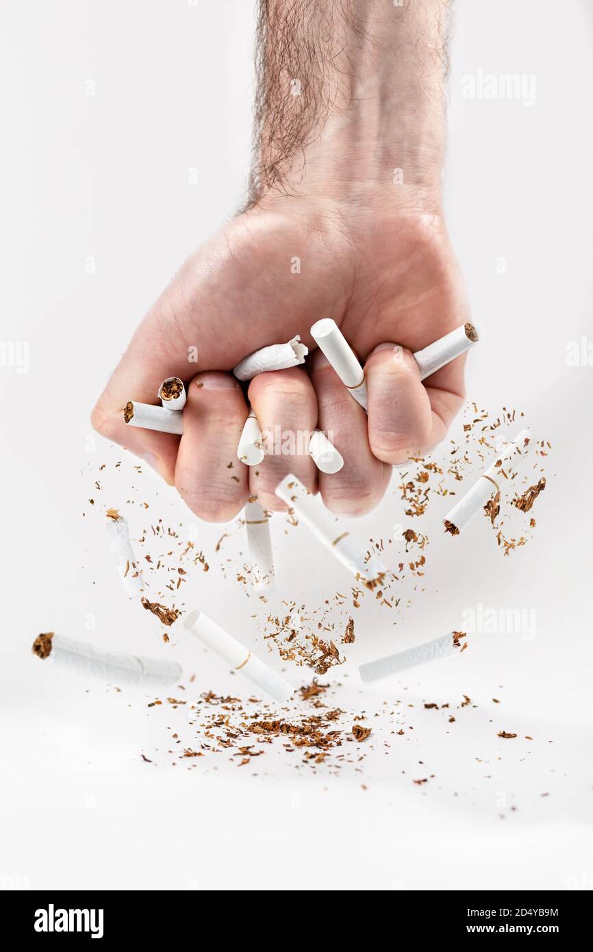Il concetto di dipendenza da nicotina e anti-fumo. Il pugno di un uomo stringe le sigarette, spezzandole in piccoli pezzi. Sfondo bianco. Verticale. Foto Stock