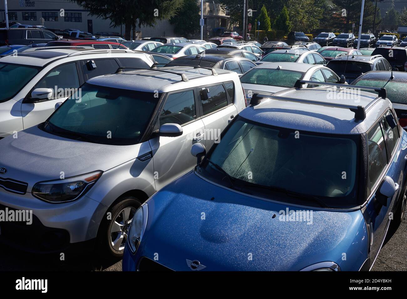 Automobili usate in vendita in una concessionaria di automobili in Oregon City. Foto Stock