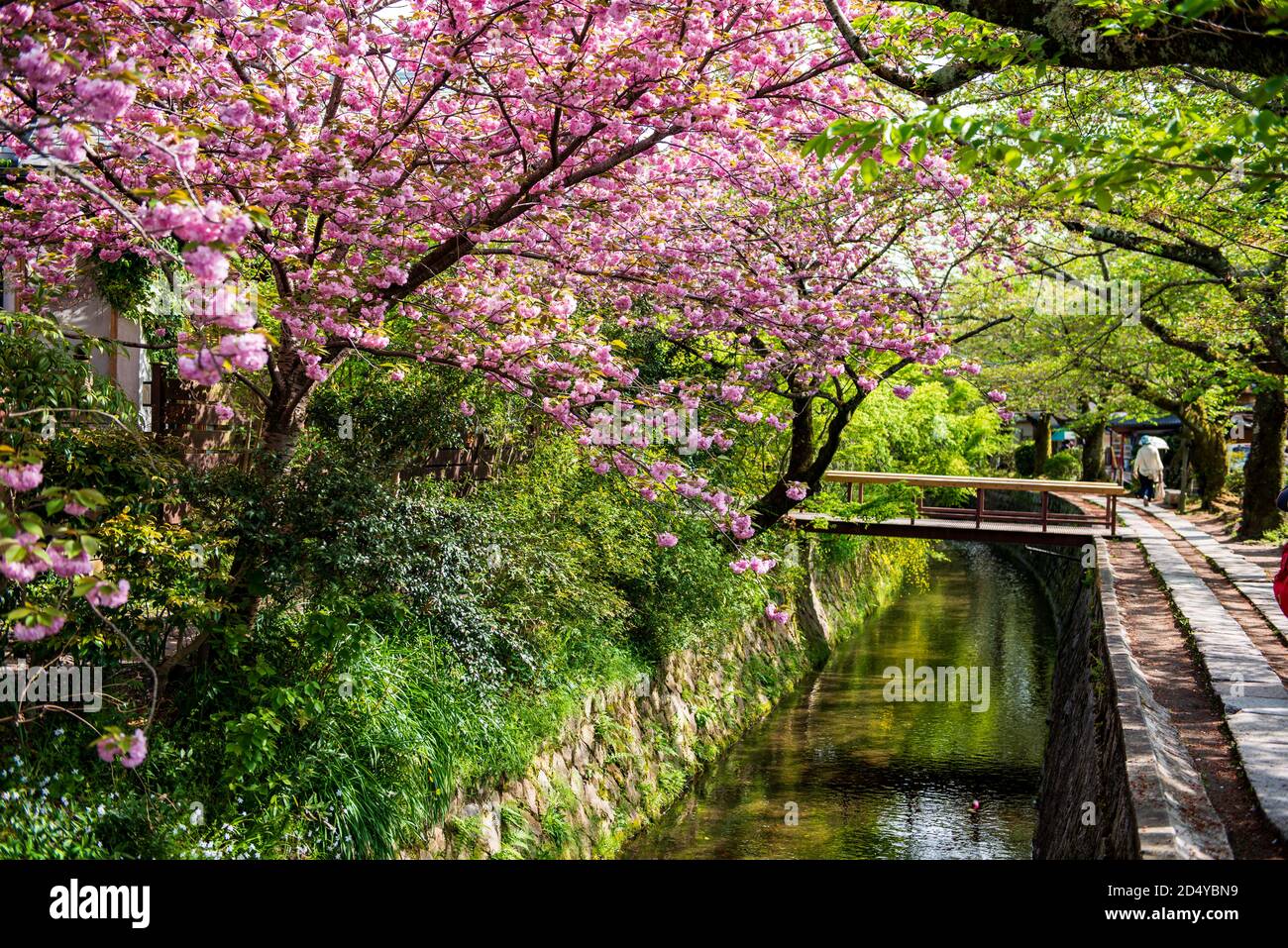 Il filosofo a piedi a Kyoto, Giappone Foto Stock