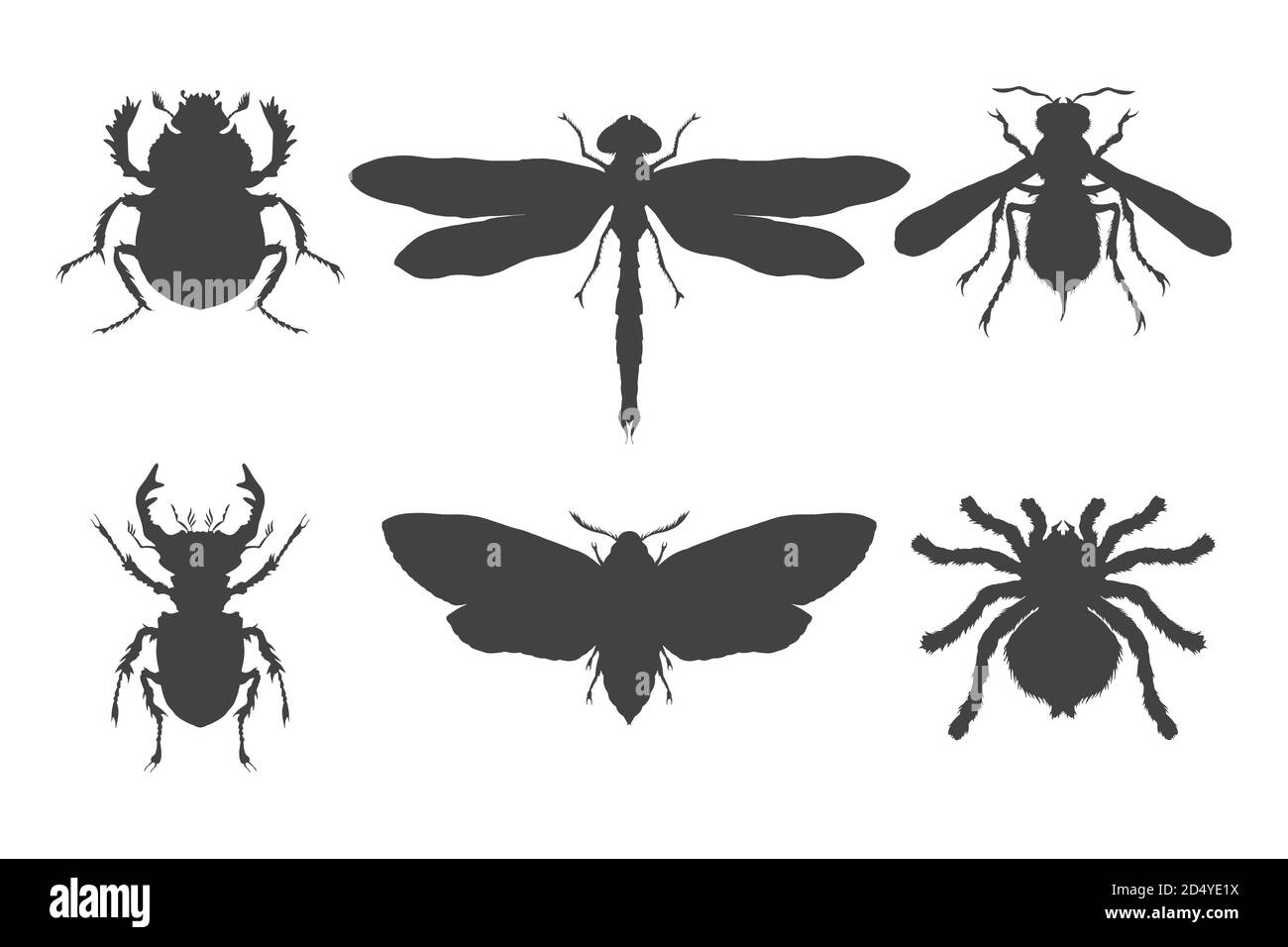 Insieme vettoriale di insetti disegnati a mano. Insetti diversi in stile realistico. Collezione silhouette nera isolata su sfondo bianco. Illustrazione Vettoriale