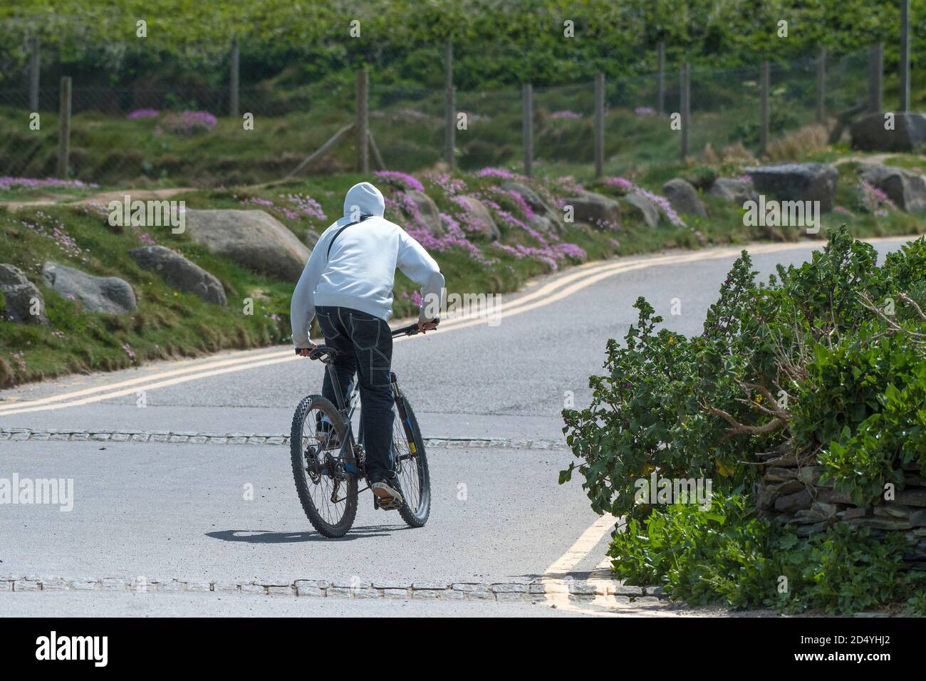 Vista posteriore di un ragazzo adolescente che indossa una felpa con cappuccio in bicicletta. Foto Stock