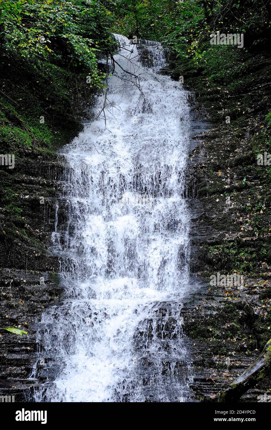 water break e 'collo cascata, warren wood, radnor foresta, powys, galles Foto Stock