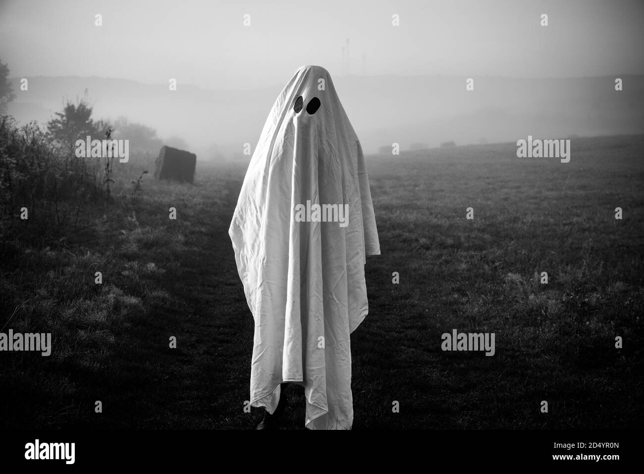 halloween fantasma in paesaggio nebbioso Foto Stock