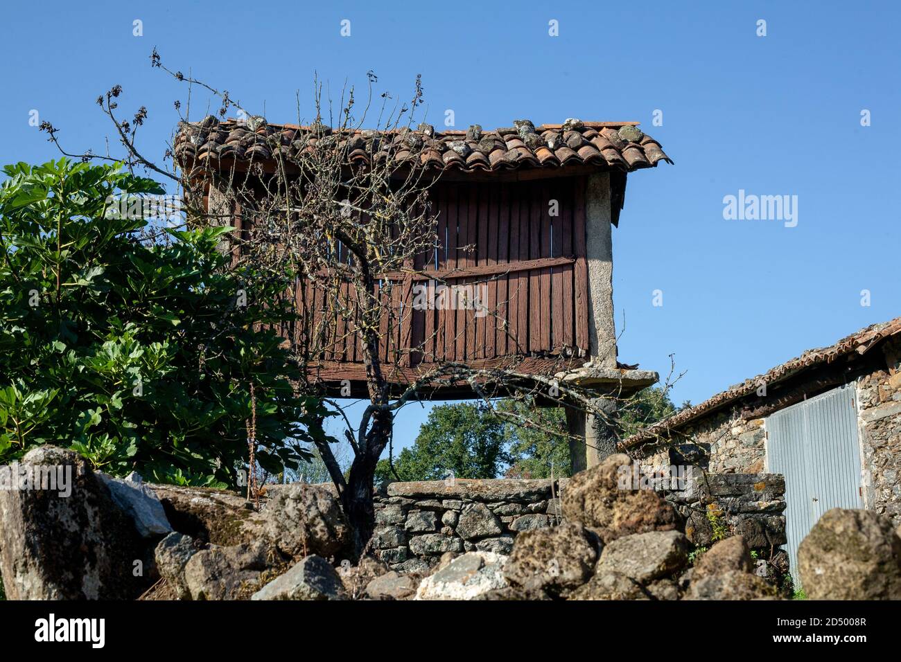 Deposito di grano di Horreo galiziano nella piccola città di Melide sul Camino de Santiago. Foto Stock