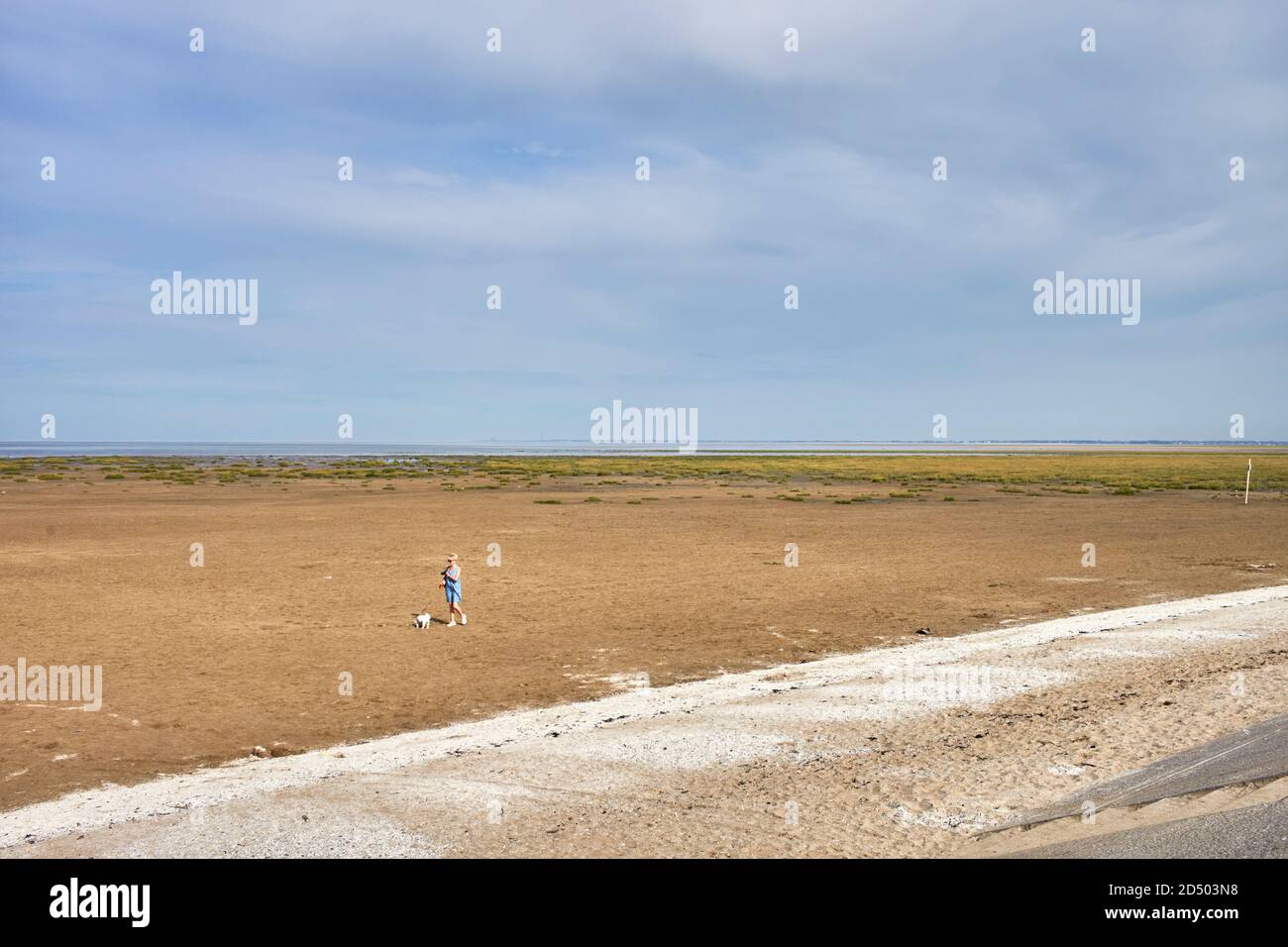 Donna che cammina un cane da sola sulla spiaggia di Southport, Merseyside Foto Stock