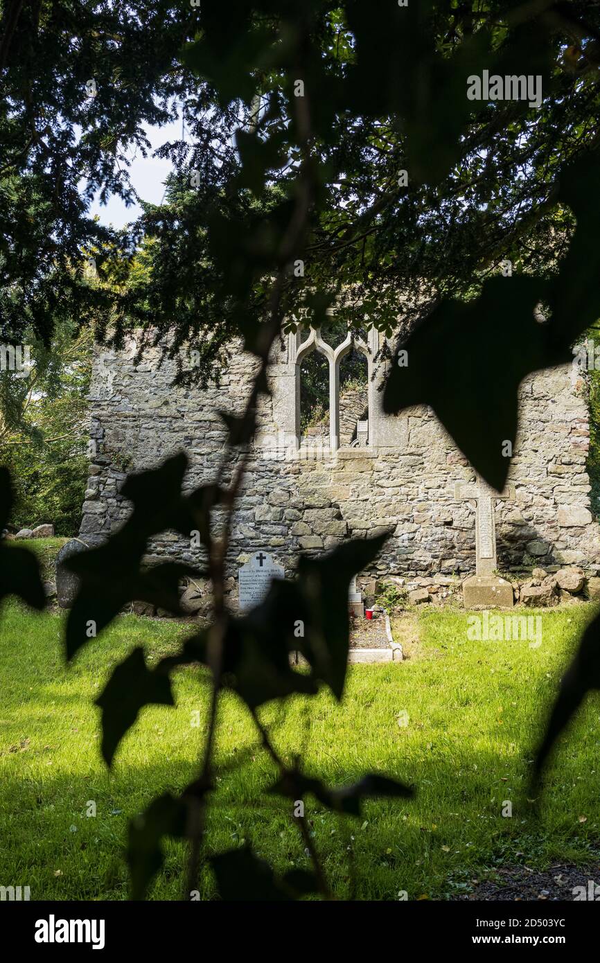 Vista oscurata attraverso foglie d'edera alle rovine di una vecchia chiesa medievale e cimitero a Johnstown, County Kildare, Irlanda Foto Stock