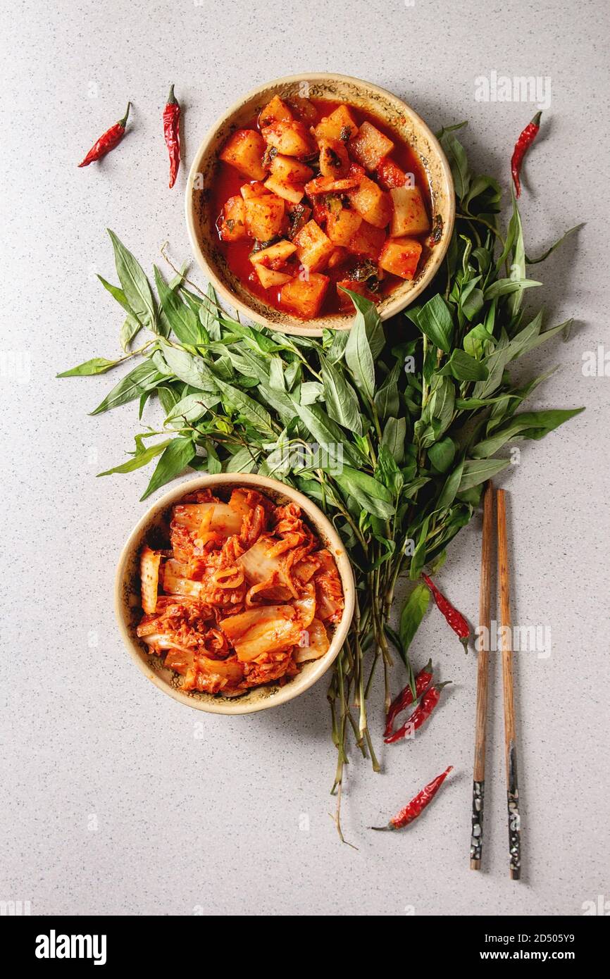 Coreano Tradizionale antipasto fermentato kimchi cavolo e insalata di  rafano in piastre in ceramica con origano vietnamita verdi su grigio Sfondo  maculato Foto stock - Alamy