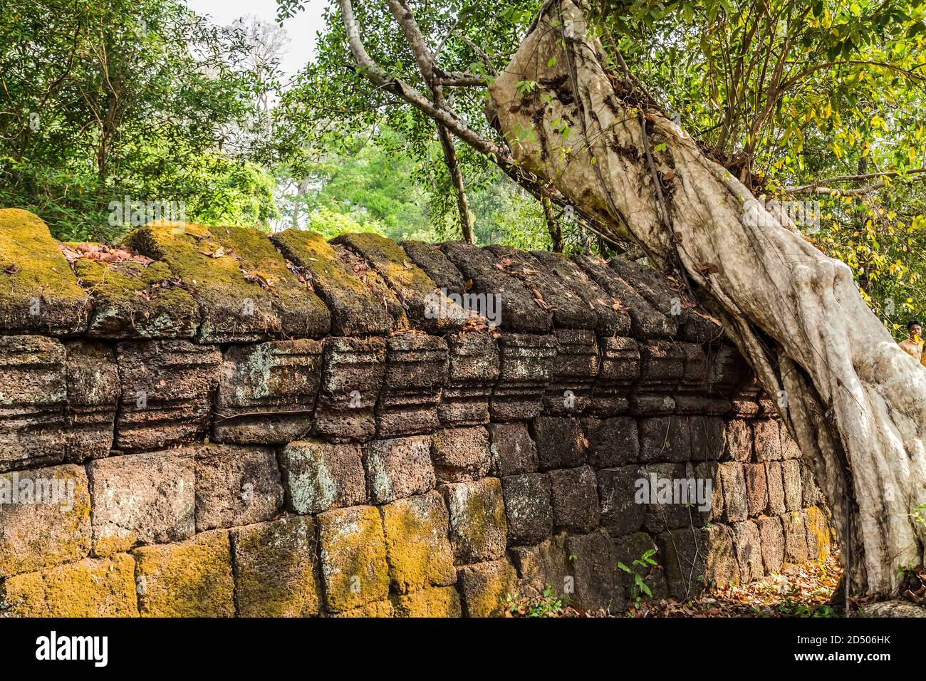 Prasat Krahom Tempio indù Fence rovine giungla albero a Koh Ker. Paesaggio archeologico di Koh Ker, Cambogia nord-occidentale. Muschio sulla pietra arenaria del mattone Foto Stock