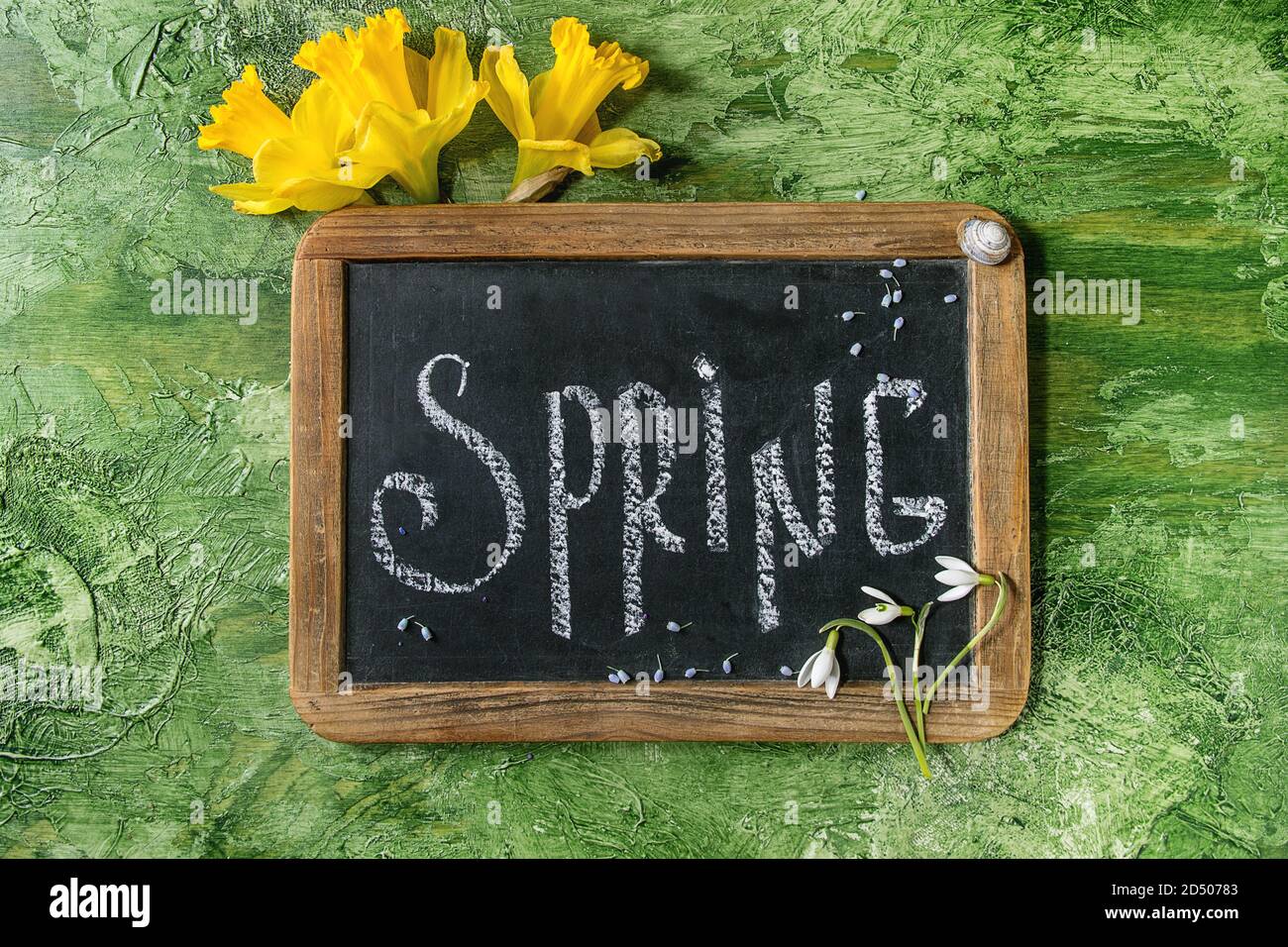 Iscrizione calligrafico scritte a mano lettere molla sulla lavagna nera con il fiore di narciso e snowdrops nella tazza di ceramica su una texture verde indietro Foto Stock