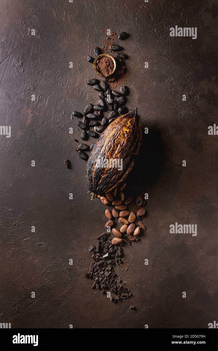 Varietà di fresco e secco Fave di cacao e il cacao pod con cioccolato fondente tritato e la polvere di cacao marrone su sfondo di texture. Laici piana, spazio Foto Stock