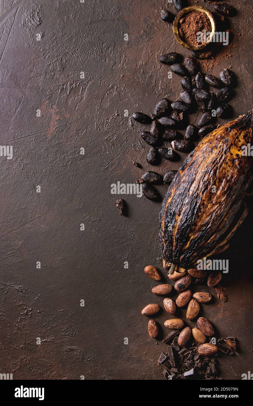 Varietà di fresco e secco Fave di cacao e il cacao pod con cioccolato fondente tritato e la polvere di cacao marrone su sfondo di texture. Laici piana, spazio Foto Stock