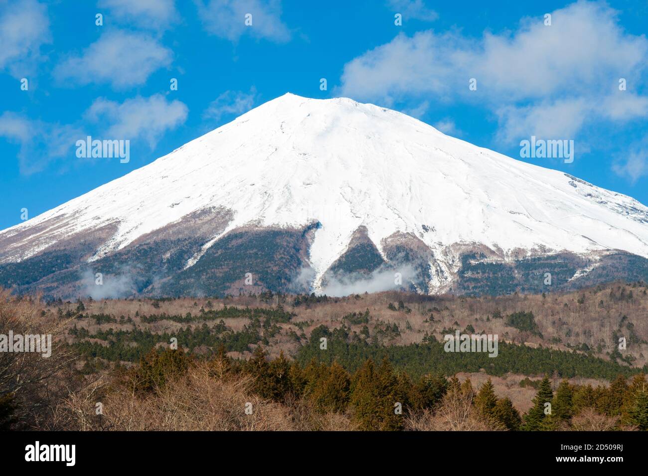 Bella vista del Monte Fuji neve coperta in inverno con cielo blu e nuvole bianche. Foto tratta dal parcheggio Nishiusuzuka, Awakura, Giappone. Foto Stock