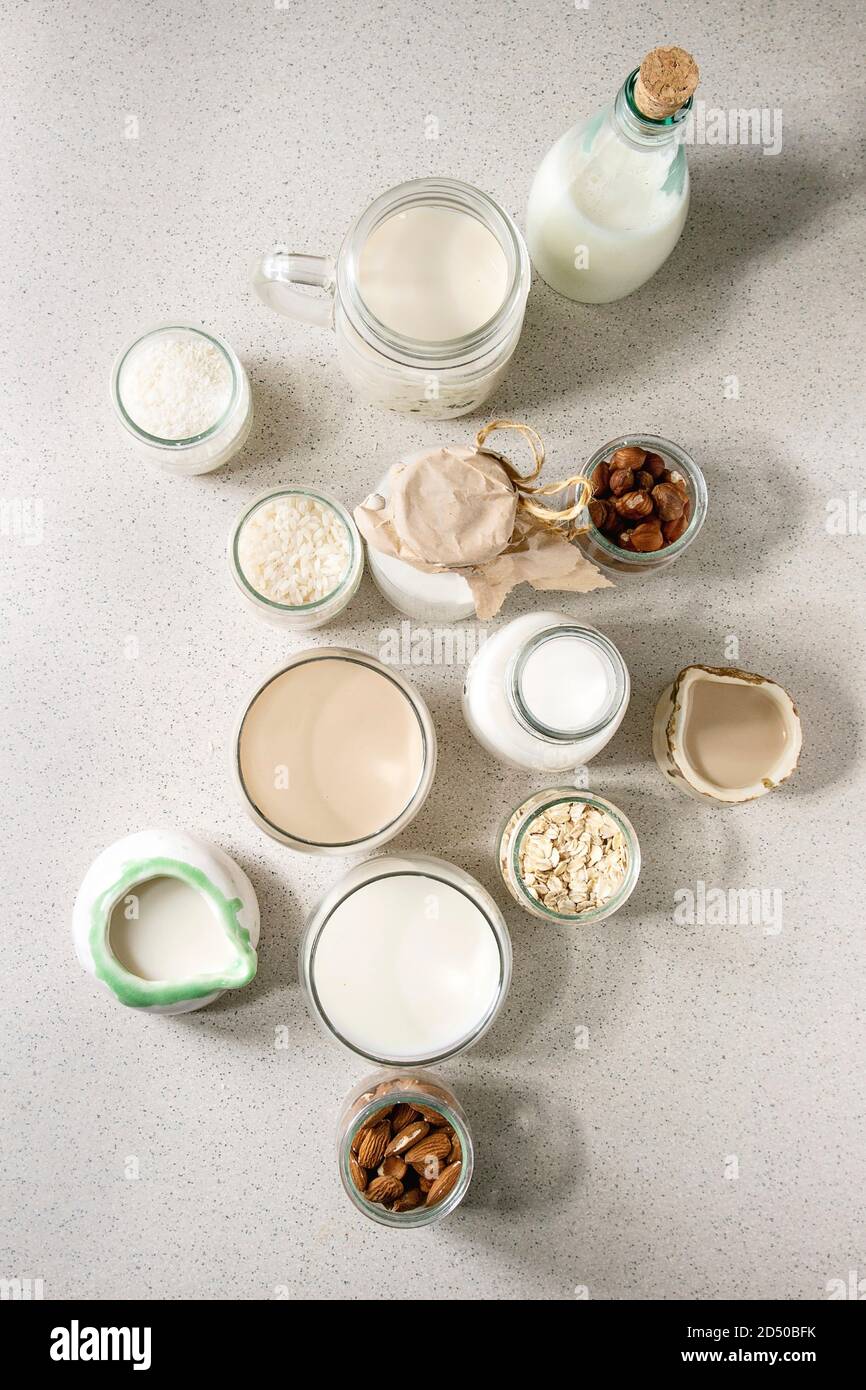 Varietà di non-dairy vegane senza lattosio dadi e granella di mandorle latte, nocciola, noce di cocco, riso, avena in bottiglie di vetro e ceramica brocche con ingredienti ab Foto Stock