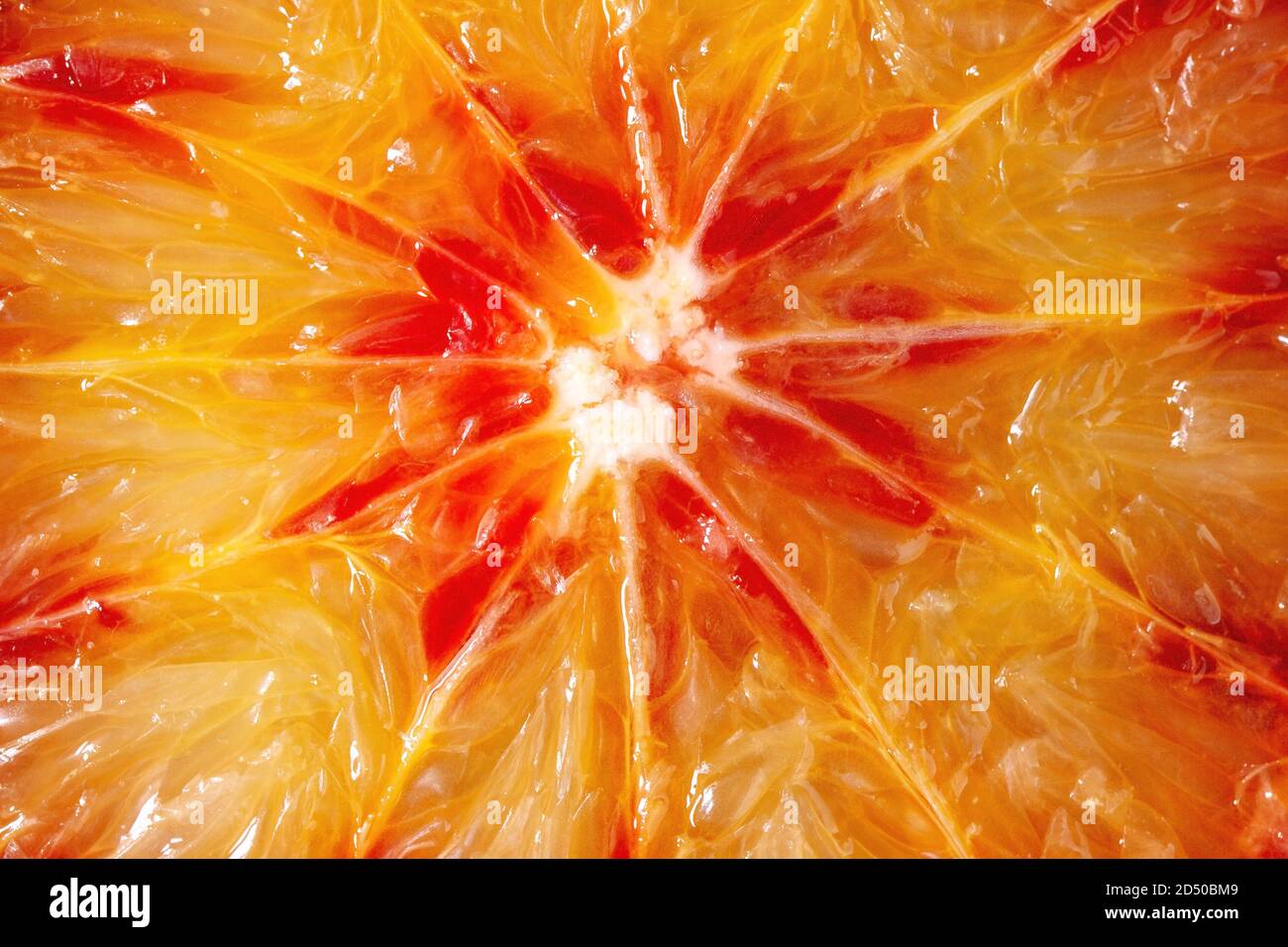 Close up macro di organico fresco sangue siciliano arance a fette. Foto Stock