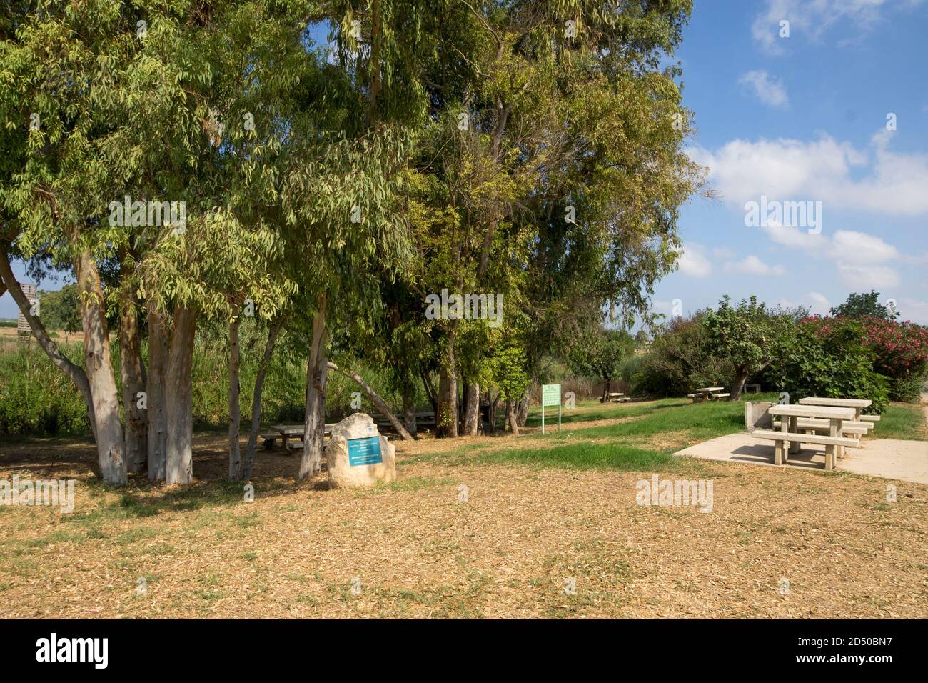 Nahal Alexander (fiume Alexander o fiume) È un fiume in Israele che scorre dall'ovest Lato della cintura di montagna Samaria in Cisgiordania al Foto Stock